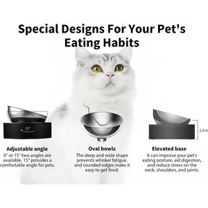 PETKIT Fresh Nano 15 Degree Adjustable Stainless Steel Elevated Dog & Cat Bowl, 4-oz