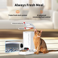 PETKIT Yumshare Solo with Camera Smart Automatic Dog & Cat Feeder, 3L slide 2 of 9