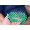 Show in main carousel: PetKORE GroomBug Cat Brush, Green, Medium slide 8 of 10
