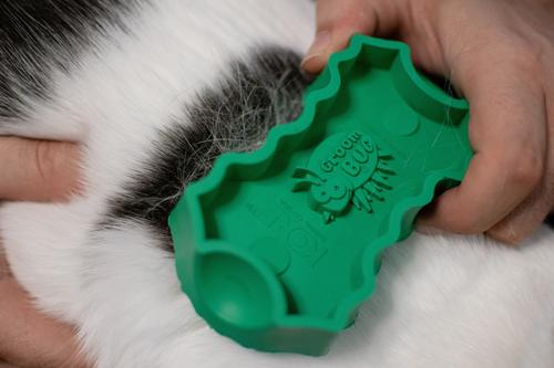 Show full view: PetKORE GroomBug Cat Brush, Green, Medium slide 6 of 10