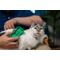 Show in main carousel: PetKORE GroomBug Cat Brush, Green, Medium slide 4 of 10