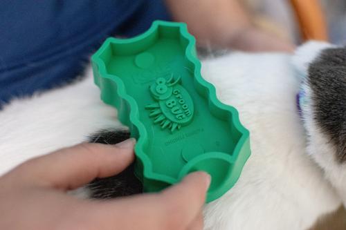 Show full view: PetKORE GroomBug Cat Brush, Green, Medium slide 3 of 10