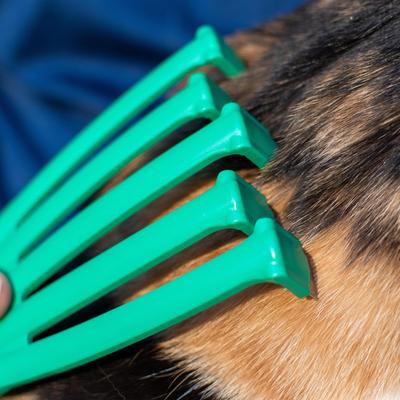 Show full view: PetKORE GroomRaker Cat Deshedding Tool, Green, Small slide 5 of 10