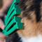 Show in main carousel: PetKORE GroomRaker Cat Deshedding Tool, Green, Small slide 6 of 10