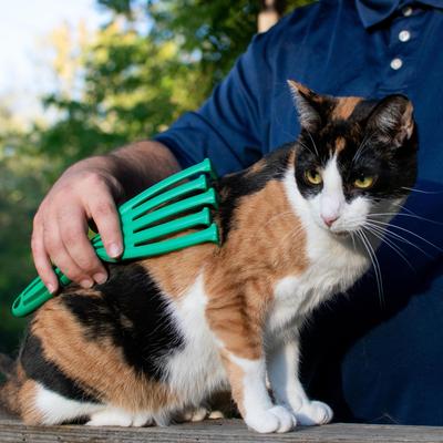 Show full view: PetKORE GroomRaker Cat Deshedding Tool, Green, Small slide 4 of 10