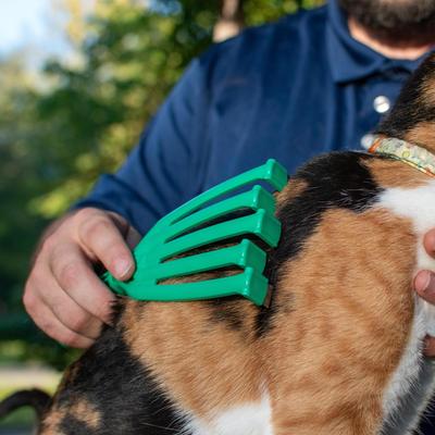 Show full view: PetKORE GroomRaker Cat Deshedding Tool, Green, Small slide 3 of 10