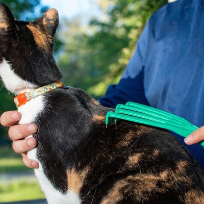 Show full view: PetKORE GroomRaker Cat Deshedding Tool, Green, Small slide 2 of 10