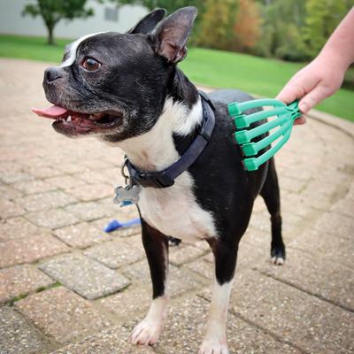 Show full view: PetKORE GroomRaker Dog Deshedding Tool, Green, Large slide 6 of 11