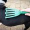 Show in main carousel: PetKORE GroomRaker Dog Deshedding Tool, Green, Large slide 3 of 11