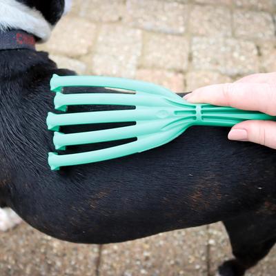 Show full view: PetKORE GroomRaker Dog Deshedding Tool, Green, Large slide 3 of 11