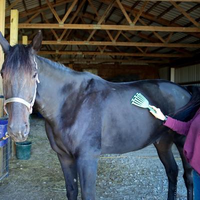 Show full view: PetKORE GroomRaker Horse Deshedding Tool, Green slide 3 of 6