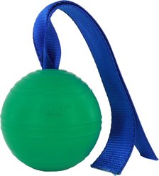 PetKORE KOREflex Tough Ball & Tail Dog Toy, Green, 4.75-in