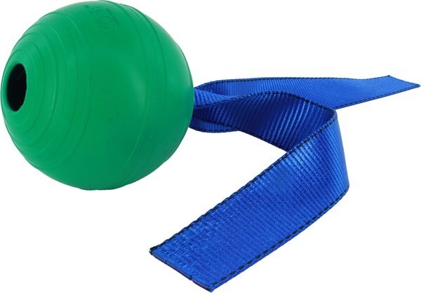 PetKORE KOREflex Tough Ball & Tail Dog Toy, Green, 4.75-in