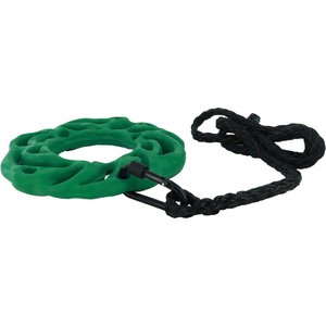 PetKORE Luna Ring with Hanging Kit Horse Toy, Green, 9-in