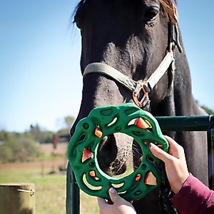 PetKORE Luna Ring with Hanging Kit Horse Toy, Green, 9-in