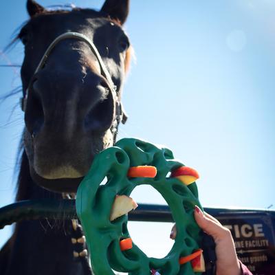 Show full view: PetKORE Luna Ring with Hanging Kit Horse Toy, Green, 9-in slide 5 of 9