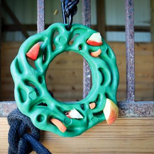 PetKORE Luna Ring with Hanging Kit Horse Toy, Green, 9-in