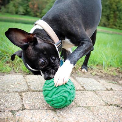 Show full view: PetKORE Luna Tough Ball Dog Toy, Green, 4-in slide 2 of 10