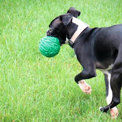 Show full view: PetKORE Luna Tough Ball Dog Toy, Green, 4-in slide 3 of 10
