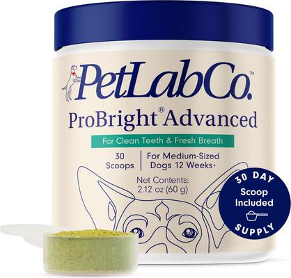 Show full view: PetLab Co. ProBright Advanced Chicken Flavored Powder Dental Supplement for Dogs, Medium Dogs: 2.12-oz jar slide 1 of 11