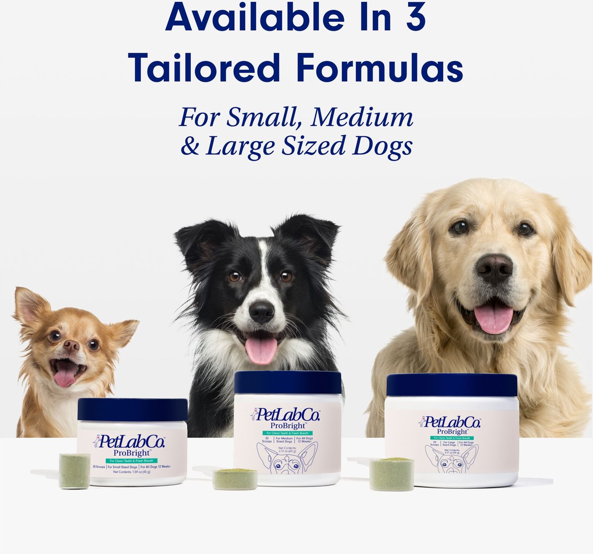 Is Petlab Co Good For Dogs PETLAB CO. ProBright Dog Dental Powder for Medium Dogs - Chewy.com