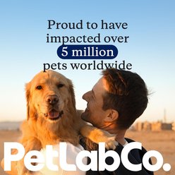 PetLabCo. DF-14 Foundation Gut, Joint, Skin, Immune, Heart Health Bacon Flavored Supplement for Small Dogs, 30-scoop slide 2 of 8