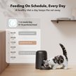 Show in main carousel: Petlibro Air Automatic Cat Feeder with Battery Powered Dog & Cat Food Dispenser, Black, 2-litter slide 3 of 12