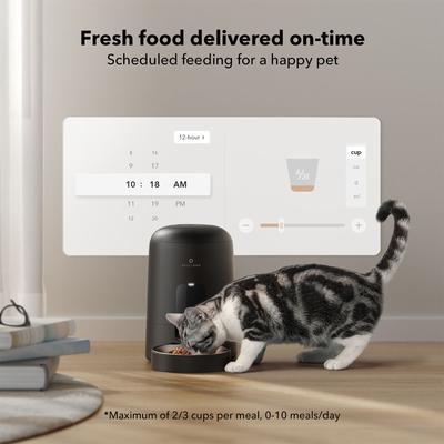 Show full view: Petlibro Air Wi-Fi Automatic Dog & Cat Feeder, Black, 2-L slide 8 of 13