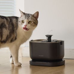 Petlibro Dockstream Battery Operated Cat Water Fountain + 1 Replacement Wireless Pump, 84-oz, Black