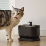 Dockstream Battery Operated Cat Water Fountain + 1 Replacement Wireless Pump, Black, 84-oz