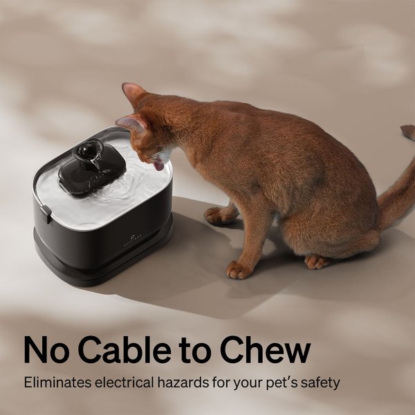 Show full view: Petlibro Dockstream Battery Operated Cat Water Fountain + 1 Replacement Wireless Pump, 84-oz, Black slide 5 of 10