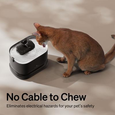 Show full view: Petlibro Dockstream Battery Operated Cat Water Fountain + 1 Replacement Wireless Pump, 84-oz, Black slide 6 of 11