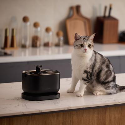 Show full view: Petlibro Dockstream Battery Operated Cat Water Fountain + 1 Replacement Wireless Pump, 84-oz, Black slide 3 of 11