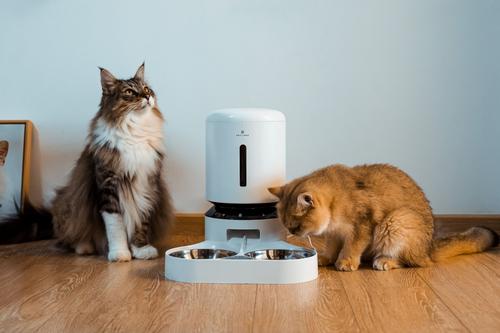 Show full view: Petlibro Granary Automatic Two Cat & Dog Feeder + 3 Pet Food Desiccant Bags, 5L slide 10 of 13