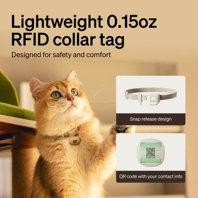 Show full view: Petlibro One RFID Automatic Cat Feeder with Collar Tag, 3-L, Coffee, 2 count slide 8 of 10