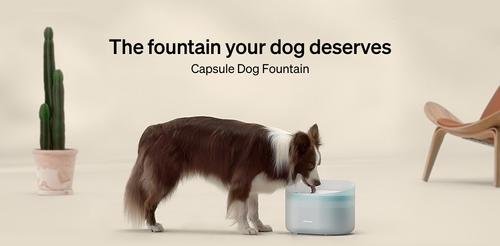 Show full view: Petlibro PLWF008 Capsule Fountain 2 Months Set of Replacement Filters for Dogs Water Dispensers, White, 8 count slide 5 of 5