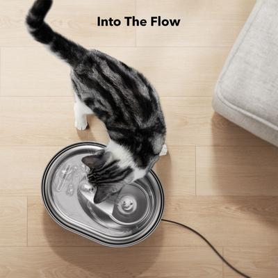 Show full view: Petlibro Stainless Steel Dog & Cat Fountain, 2-L slide 8 of 11