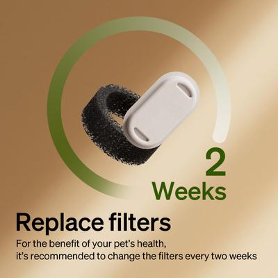 Show full view: Petlibro Stainless Steel Dog & Cat Water Fountain with Fountain Replacement Filters, 8 count slide 8 of 10