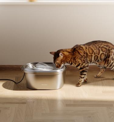 Show full view: Petlibro Stainless Steel Water Fountain Replacement Pump, 2 count slide 6 of 7