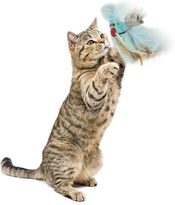 Show full view: Petlinks Blue Beauty Lush Plush Catnip & Silvervine Bird & Feather Cat Toy, Blue, Small slide 4 of 6