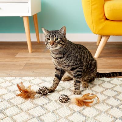 Show full view: Petlinks Feather Flips Feathered Ball Cat Toy slide 3 of 10