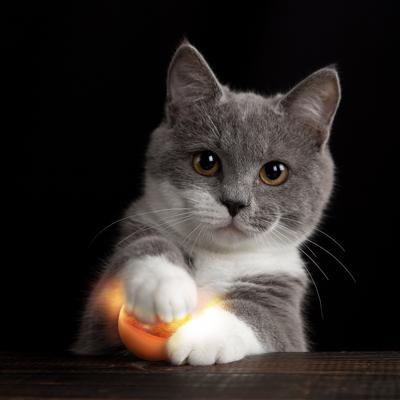 Show full view: Petlinks Flicker Fun Electronic Light Ball Cat Toy, Green, Small slide 4 of 6