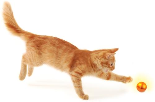 Show full view: Petlinks Flicker Fun Electronic Light Ball Cat Toy, Green, Small slide 5 of 6