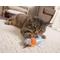 Show in main carousel: Petlinks Flutter Singer Hummingbird Cat Toy with Catnip slide 4 of 7