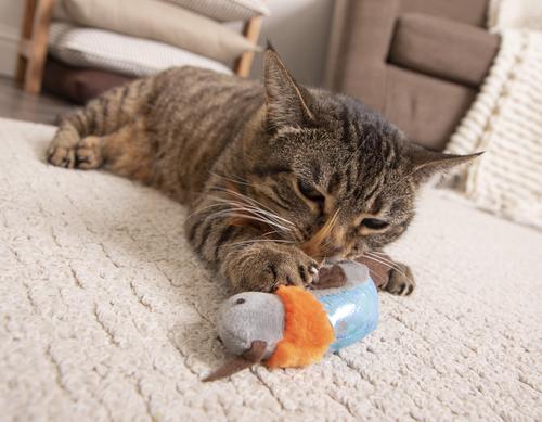 Show full view: Petlinks Flutter Singer Hummingbird Cat Toy with Catnip slide 4 of 7