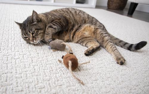 Show full view: Petlinks Lil' Critters Mice Cat Toy with Catnip, 2 count slide 4 of 10