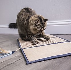 Petlinks Scratch & Play Mat Cat Scratcher Toy with Catnip slide 2 of 6