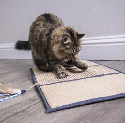 Show full view: Petlinks Scratch & Play Mat Cat Scratcher Toy with Catnip slide 2 of 8