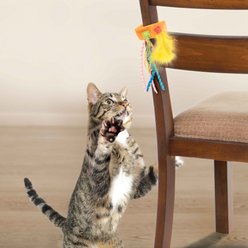 Petlinks Tethered Teaser Re-attachable Ribbon & Feather Cat Toy, Multi Color, Large slide 2 of 5