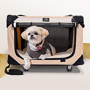 Cat Carrier Frontier Airlines Cargo Pets Airline Approved Pet